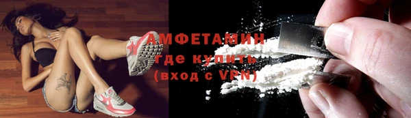 сатива Арсеньев